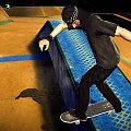 EA Skate Screens