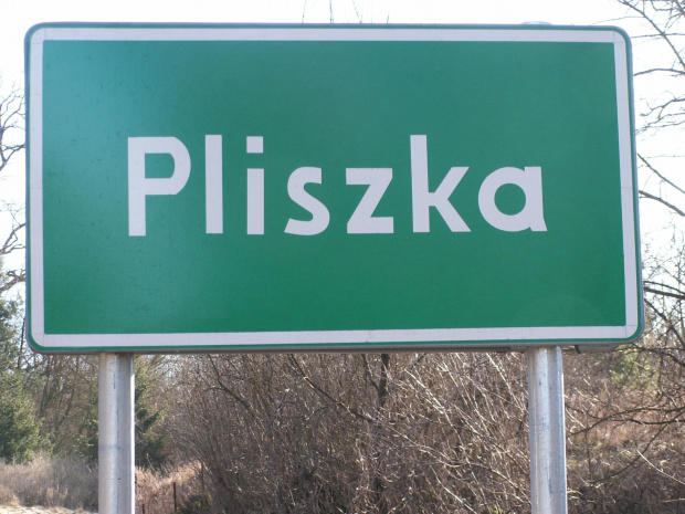 #pliszka