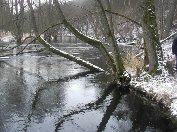 BRZEGIEM BRDY DO GOŁABKA
17.02.08r.