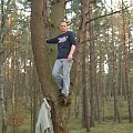 kamil