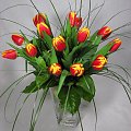 #BukietKwiatów #kwiatki #kwiaty #czerwony #tulipan