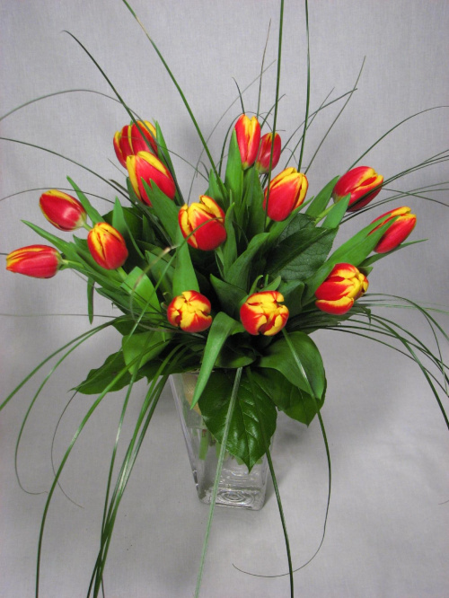 #BukietKwiatów #kwiatki #kwiaty #czerwony #tulipan