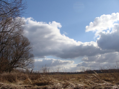 Widok nieba nad Bobrem #Niebo #chmury