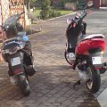 gilera runner