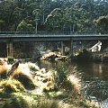 Most w National Park, Sydney #most #trawa #drzewa #eukaliptusy #rzeka #Sydney