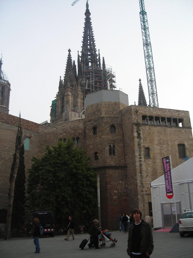 Katedra