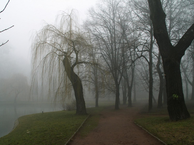 Park w Raciborzu, mgła #ParkWRaciborzu #mgła