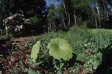 fluntern #fluntern #switzerland