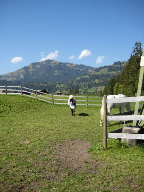 KONIE AKA KAKTUSY #KONIESTAJNIAKAKTUSYGSTAAD