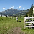 KONIE AKA KAKTUSY #KONIESTAJNIAKAKTUSYGSTAAD