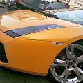 Gallardo Spyder