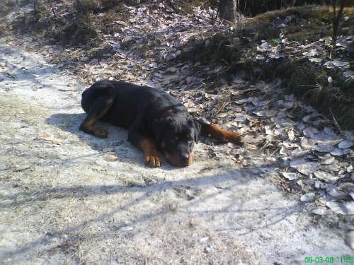 chwila odpoczynku