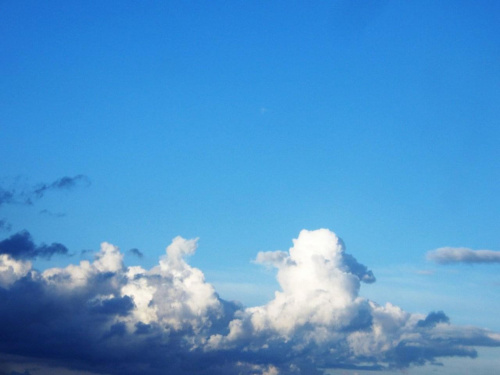 Co to jest? (Baranek) #chmury #BiałyBaranek #natura #przyroda
