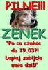 Bannerki dla Zenusia