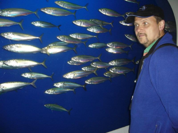 Monterey Bay Aquarium