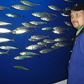 Monterey Bay Aquarium