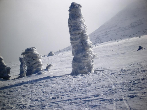 karkonsze, na szlaku #góry #zima