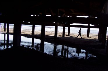 wspomnienie lata #lato #wakacje #morze #ciekawostki