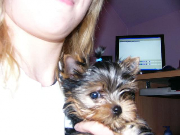 Chico 17.03.2008