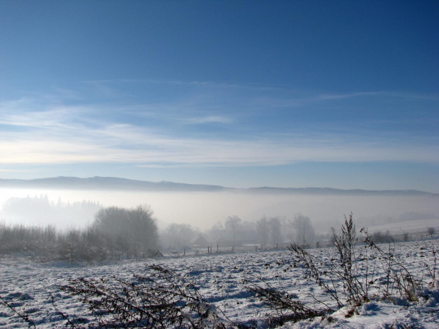 zdjęcie zrobione z łysej góry #przyroda #natura #karkonosze #zima #drzewa #góry #niebo #krajobraz