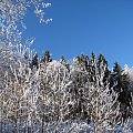 zima w górach #przyroda #natura #karkonosze #zima #drzewa #góry #niebo #krajobraz