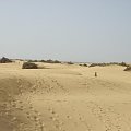Czasami bedac na wydmach mozna sie bylo poczuc jak na Saharze:) sam piasek i nic wiecej:) #GranCanaria #wydmy #piasek