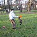 frisbee #PiesSznaucer