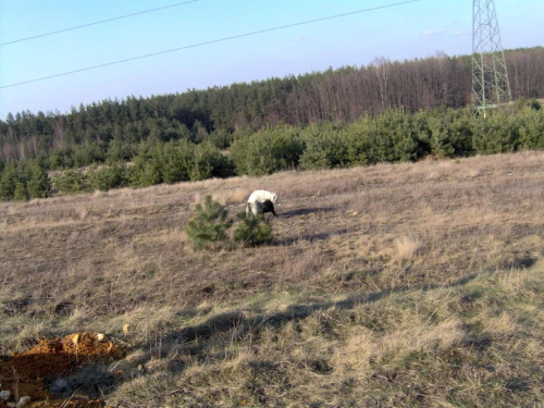 Skrajnica-30.03.2008r.