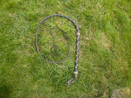 5' bull whip