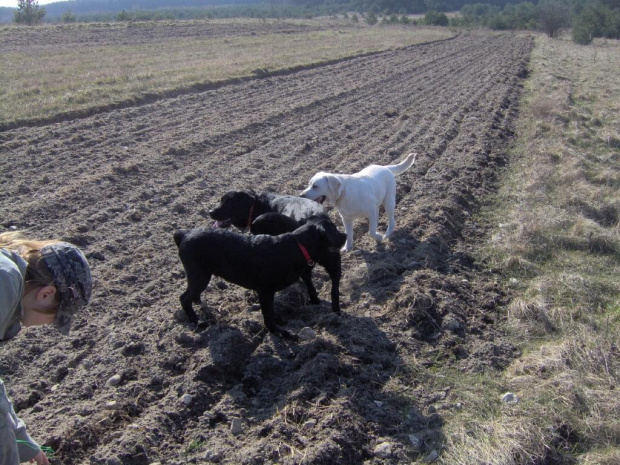 Skrajnica-30.03.2008r.