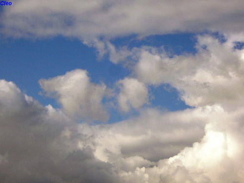 Zbiera sie na deszcz.