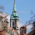 #TORUŃ