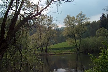 Bóbr, okolice Pilchowic #ZaporaWodna #krajobraz #ElektrowniaWodna #pilchowice #JeleniaGóra #tama #bóbr #natura #przyroda #rzeka