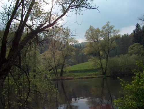 Bóbr, okolice Pilchowic #ZaporaWodna #krajobraz #ElektrowniaWodna #pilchowice #JeleniaGóra #tama #bóbr #natura #przyroda #rzeka