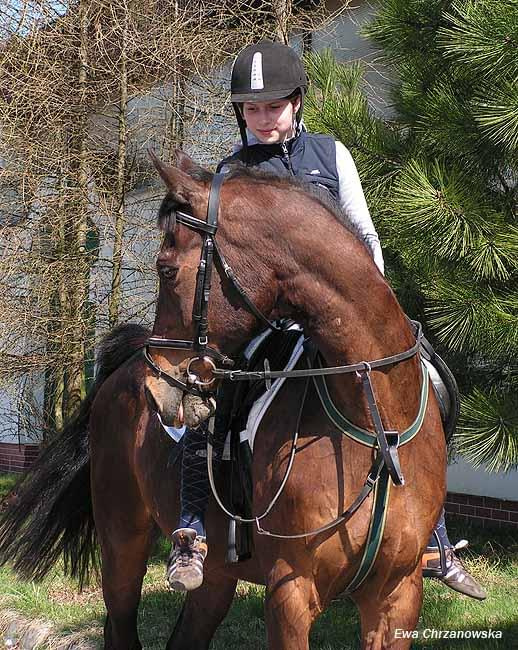 Halowe Zawody w Stodołąch 30.03.2008