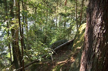 Jezioro Wrzeszczyńskie i okolice #ZaporaWodna #krajobraz #ElektrowniaWodna #pilchowice #JeleniaGóra #tama #bóbr #natura #przyroda #rzeka #jezioro #las