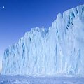 antarctica