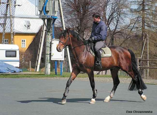 08.04.2008 Łomnica II trening