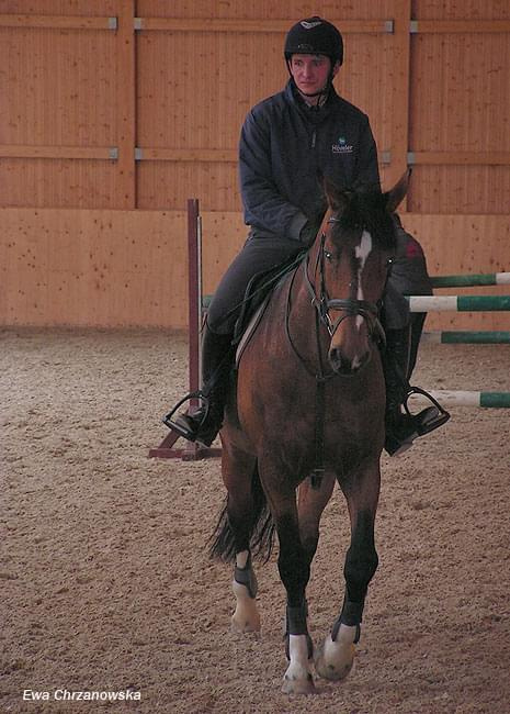 08.04.2008 Łomnica II trening konie na padoku, koty