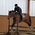 08.04.2008 Łomnica II trening konie na padoku, koty