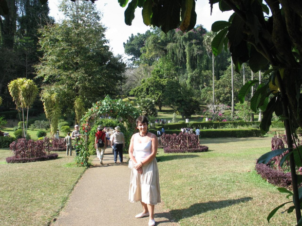 ogród botaniczny w Peradenji