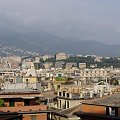 Genova