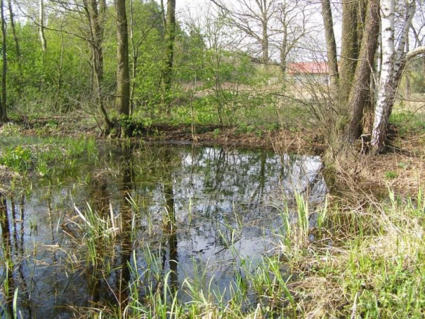 Pokażcie mi piękniejsze na tej ziemi...