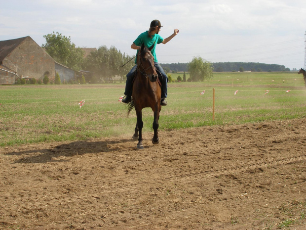 #Popielów #Wyścigi #skoki #konie #kalinówka #bryczki #wakacje