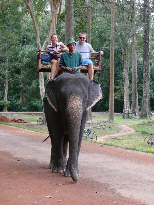 elephant ride, Cambodia