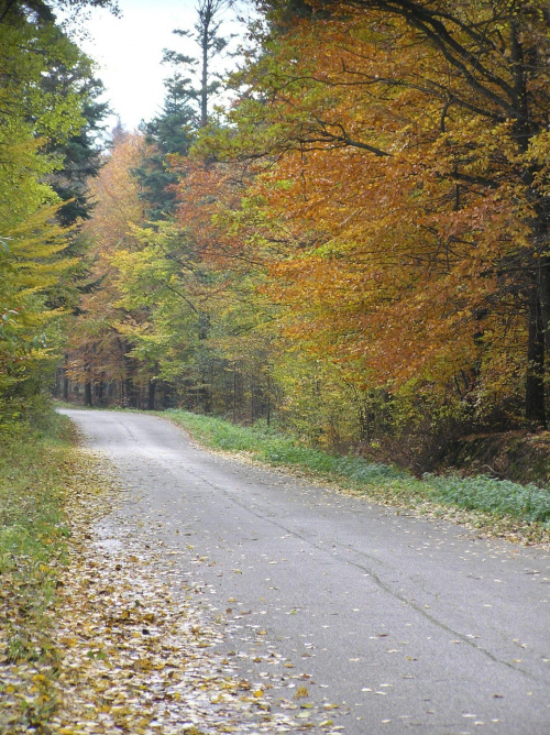 ... jesień jest piękna ...