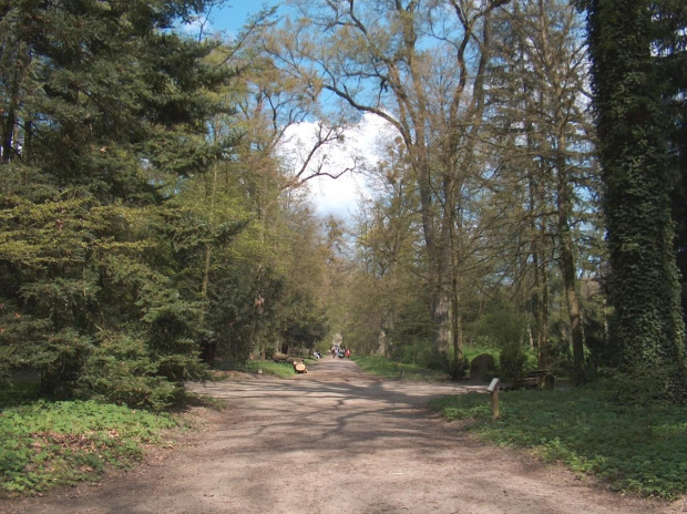 Arboretum Kornik -Wielkopolska