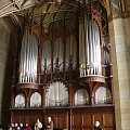 Kościół Lutra - wielkie organy #wittenburg #wittenberga #witenberg #luter #kościół #organy