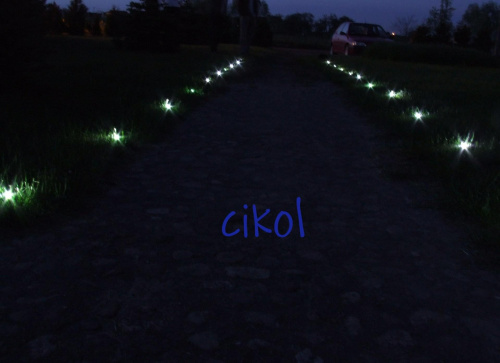 białe ledy