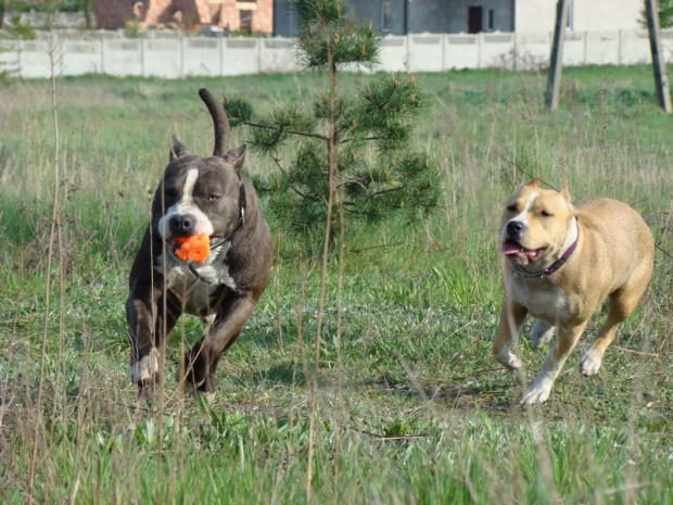 zabawa Tejli i Lucka 2 maj 2008